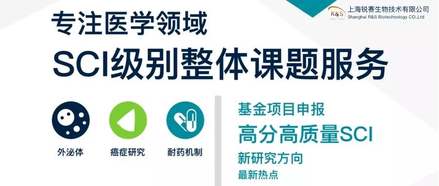 锐赛整体课题服务—高分高质量SCI最新研究方向